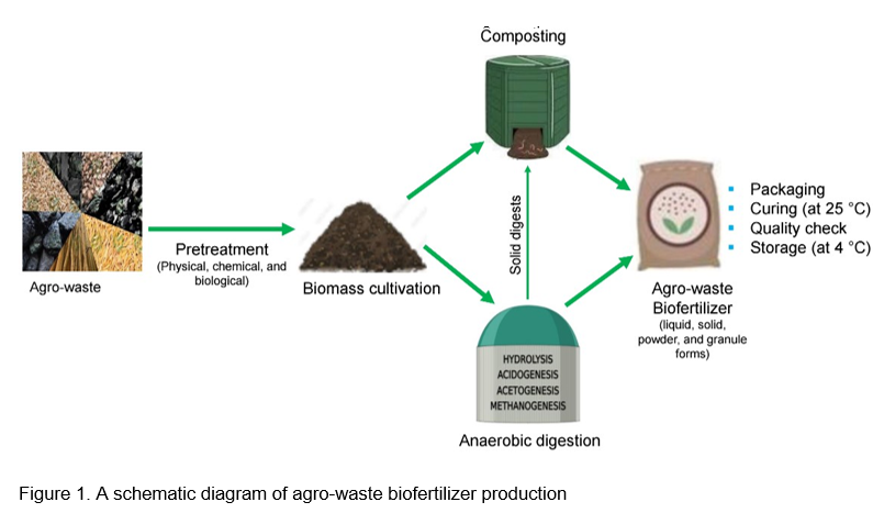Biofertilizers from Agro-wastes: A Path towards Sustainable